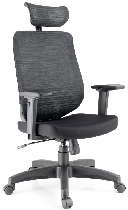 高背人體工學網椅 KTS-6901TG